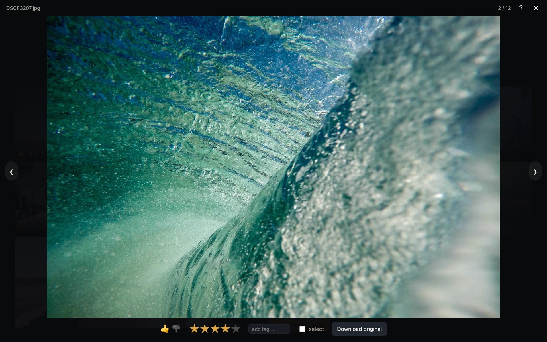 Lightbox with voting and rating controls