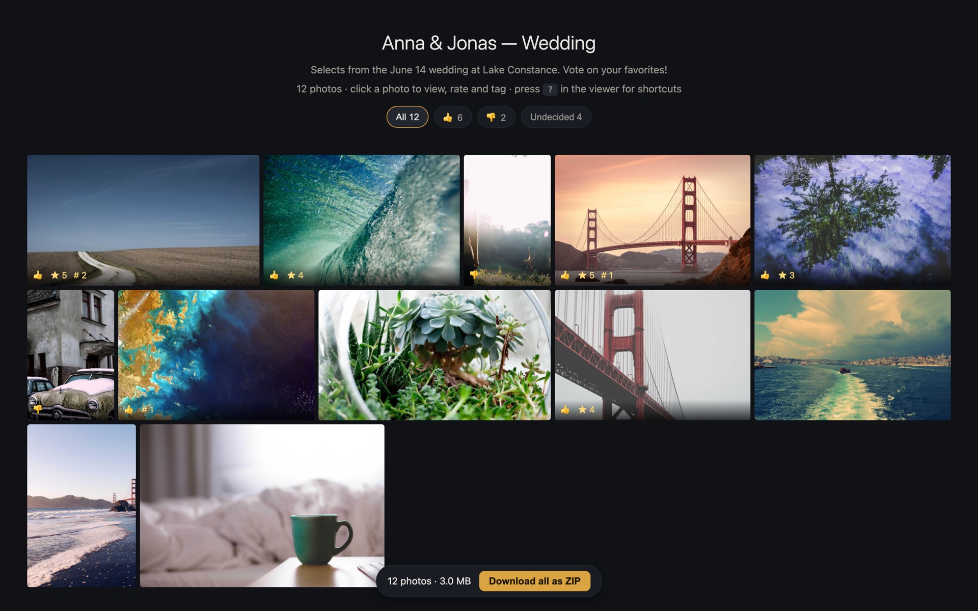 Client gallery with verdict filters